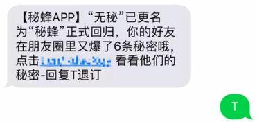 匿名八卦爆料最新,匿名爆料背后的惊人真相